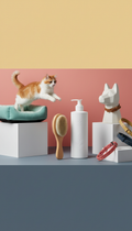Kit de cuidado con cepillo y champú orgánico